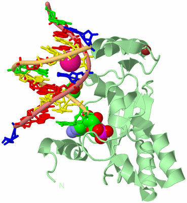 Image Biological Unit 2