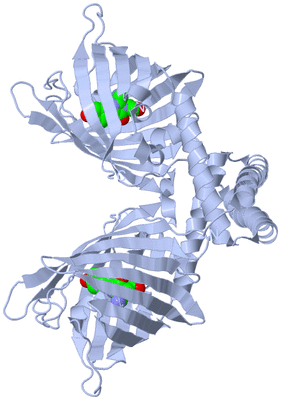 Image Biological Unit 1