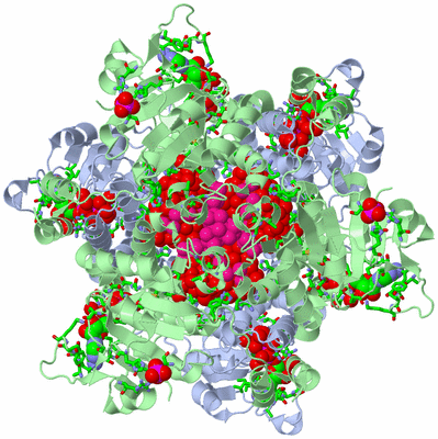 Image Biol. Unit 1 - sites