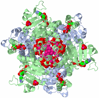 Image Biological Unit 1