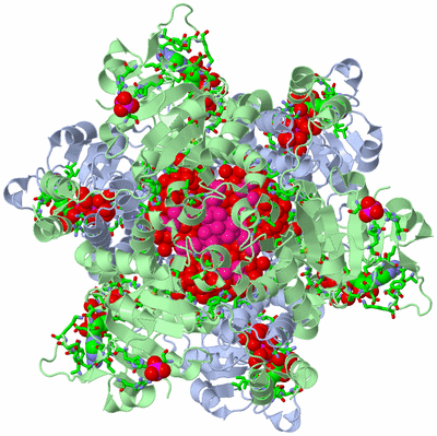 Image Biol. Unit 1 - sites