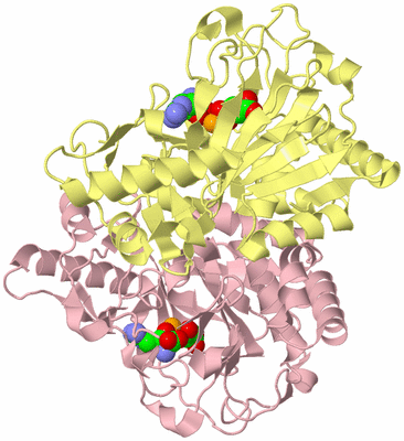 Image Biological Unit 2