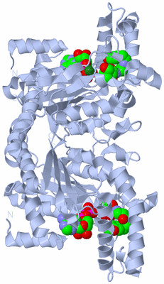 Image Biological Unit 1