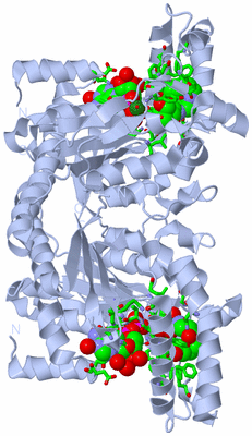 Image Biol. Unit 1 - sites