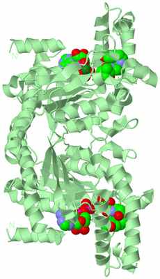 Image Biological Unit 2