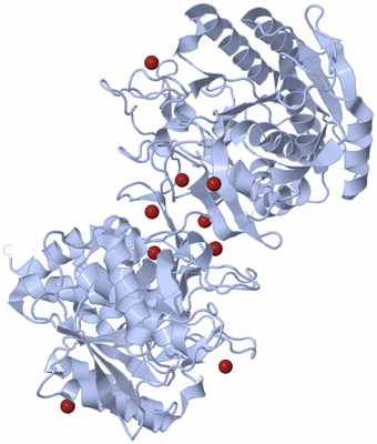 Image Biological Unit 1