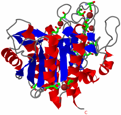 Image Asym. Unit - sites