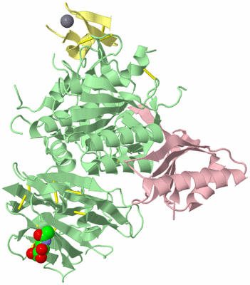 Image Biological Unit 2