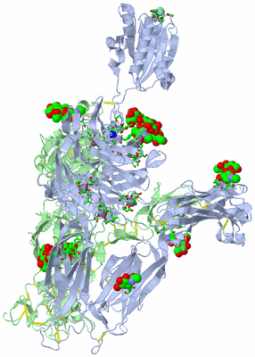 Image Asym./Biol. Unit - sites