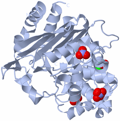 Image Biological Unit 1