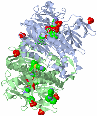 Image Asym./Biol. Unit