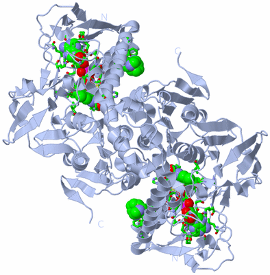 Image Biol. Unit 1 - sites