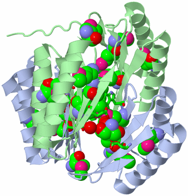 Image Asym./Biol. Unit - sites