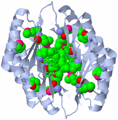 Image Biol. Unit 1 - sites