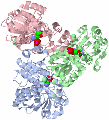 Image Asym./Biol. Unit