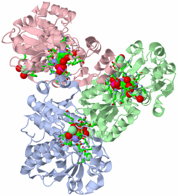 Image Asym./Biol. Unit - sites