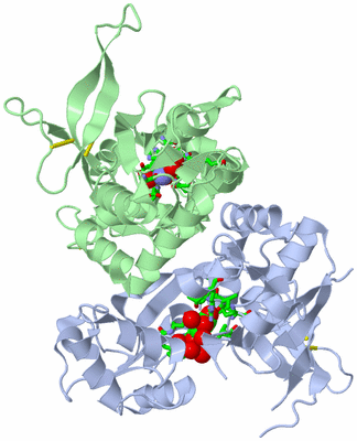 Image Asym./Biol. Unit - sites