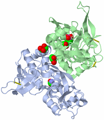 Image Asym./Biol. Unit