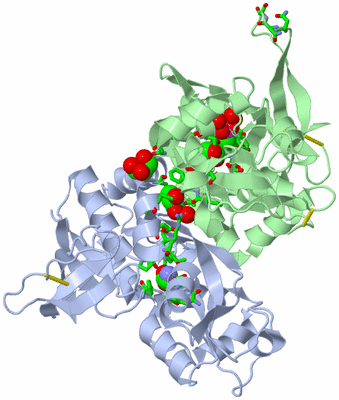 Image Asym./Biol. Unit - sites