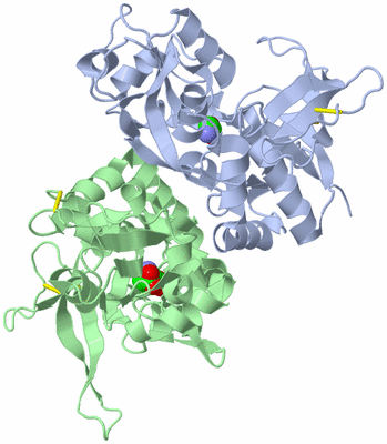 Image Asym./Biol. Unit