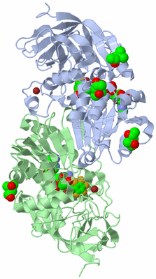 Image Asym./Biol. Unit