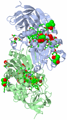 Image Asym./Biol. Unit - sites