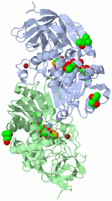 Image Asym./Biol. Unit