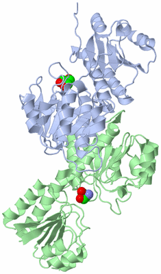 Image Asym./Biol. Unit