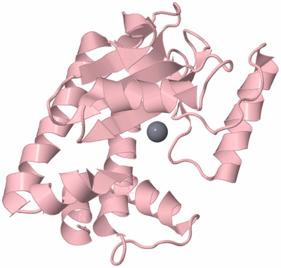 Image Biological Unit 3