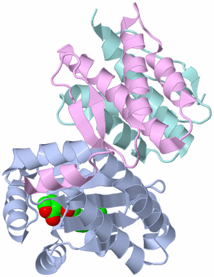 Image Biological Unit 1