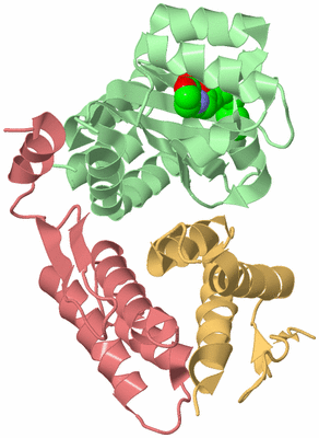 Image Biological Unit 2