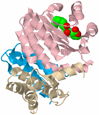 Image Biological Unit 3