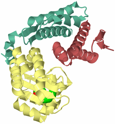 Image Biological Unit 4