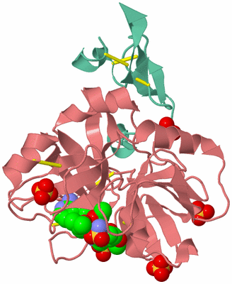 Image Asym./Biol. Unit