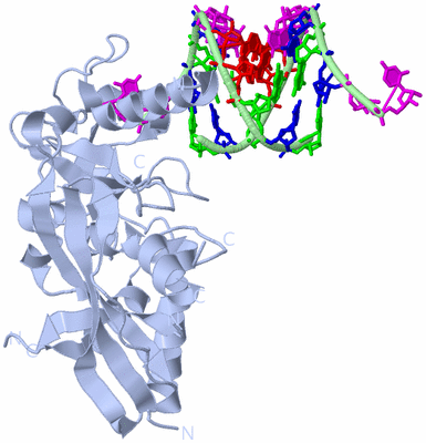 Image Biological Unit 1