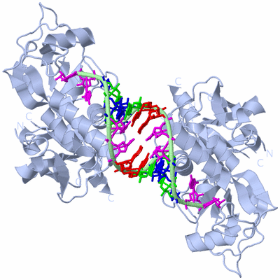 Image Biological Unit 2