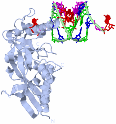 Image Biological Unit 1