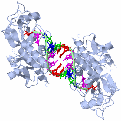 Image Biological Unit 2