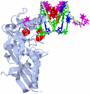 Image Biological Unit 1