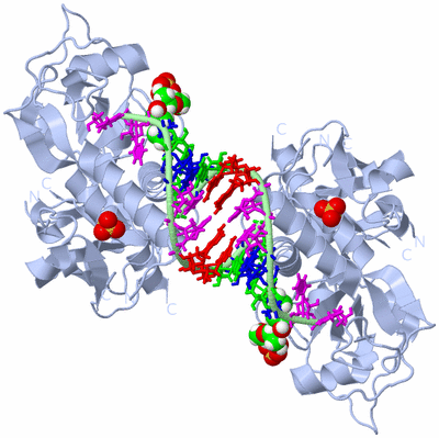 Image Biological Unit 2