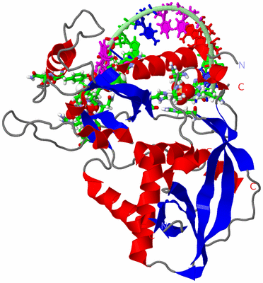 Image Asym. Unit - sites