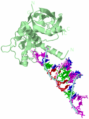 Image Biological Unit 2