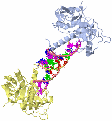 Image Biological Unit 3