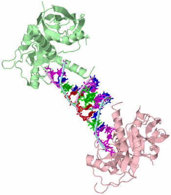 Image Biological Unit 4