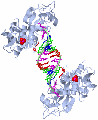 Image Biological Unit 2