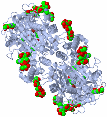 Image Biological Unit 1