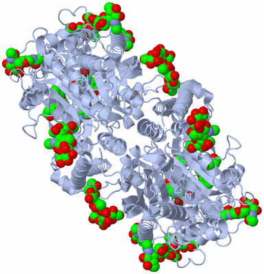 Image Biological Unit 1