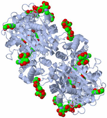 Image Biological Unit 1