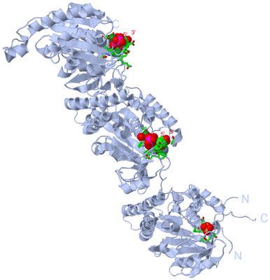 Image Biol. Unit 1 - sites