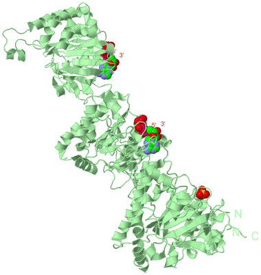 Image Biological Unit 2